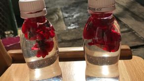 きせつの　はなだより　～２月　「ぼけ」～