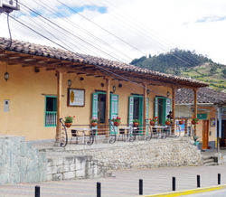 IMGP2392