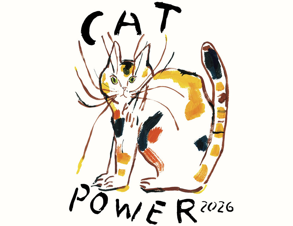 CAT_2026.jpg