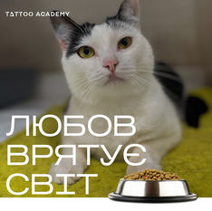 Звіт: "Допомжи тваринкам"