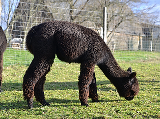 DSC_1573 copie_edited.png