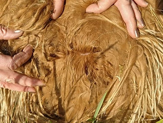 Fibre à 1 an - Small - Copie_edited.jpg