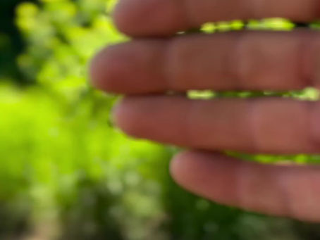 Day in the life of a gardener