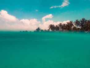 Caro, mas vale a pena: considerando o valor acima do custo.