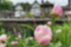 IMG_2098.jpeg