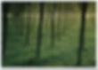 postkarte 67