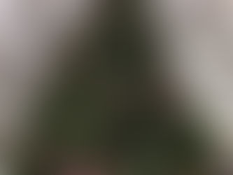 Home For The Holidays