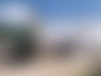 In Search Of Giant President's Heads