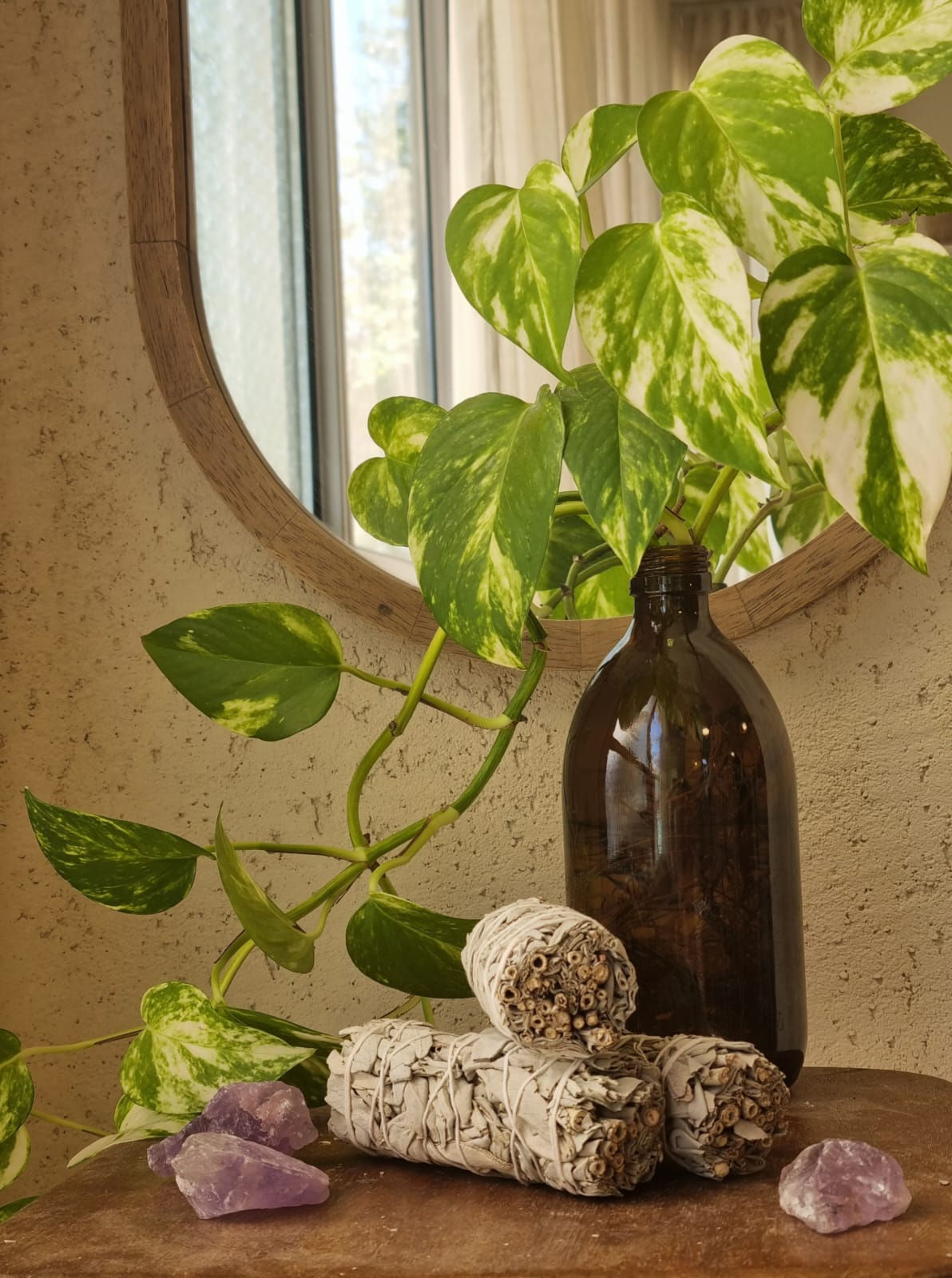 מרווה מיובשת בזר קטן