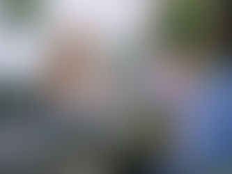 Explicação de como é a terapia na modalidade presencial