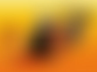 PASTOR EXPRESA QUE LA FALSA PROFECIA DEL 23 DE SEPTIEMBRE "ES UNA VERGUENZA PARA LOS CRISTIANOS