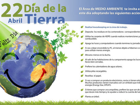 DÍA DEL AGUA: LA VITAL PRESENCIA DE ESTE RECURSO EN EL MUNDO