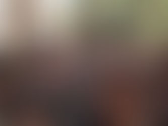 PROHÍBEN REALIZAR CULTOS CRISTIANOS EN EGIPTO