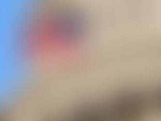 LA RETIRADA ESTADOUNIDENSE DEL CONSEJO DE LOS DCHOS HNOS DE LA ONU ES "INMINENTE"