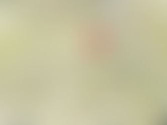 TERREMOTO DE 5.9 SACUDE AFGANISTAN