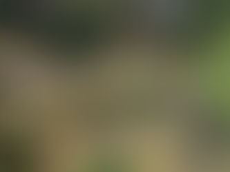 INUNDACIONES EN LA INDIA DEJAN 324 MUERTOS