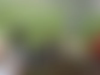 UMBANDISTAS SON RECIBIDOS EN EL GOBIERNO Y RECLAMAN LA LEGISLACION QUE LOS REGULARICE SU RELIGION EN