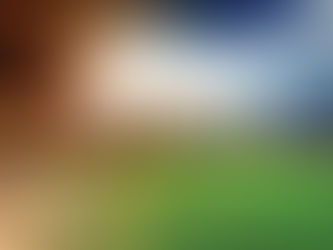 SE REPITE LA HISTORIA? UN CALENTAMIENTO GLOBAL COMO EL ACTUAL, ACABÓ CON EL 90% DE LA VIDA ANIMAL HA