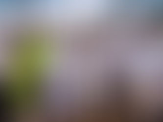 28 MIL MUSULMANES EN NIGERIA ESCUCHARÁN EL EVANGELIO