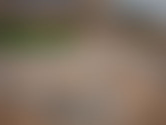 PELIGRO MEDIOAMBIENTAL DEL QUE NADIE HABLA