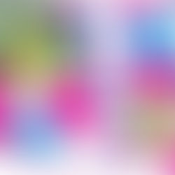 Susan Pettitt netball clinic