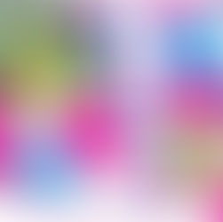 Susan Pettitt netball clinic