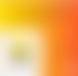 Continuação Leilão Luisa Strina