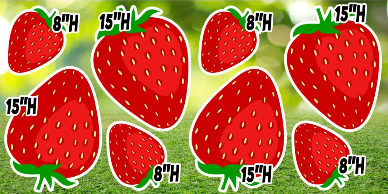 D176 QS STRAWBERRY PARTY PROPS