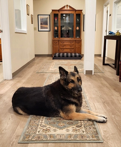 Resized_Resized_20231109_191218001_edite