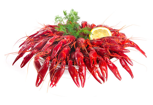 Macray cooked and frozen crayfish in trays