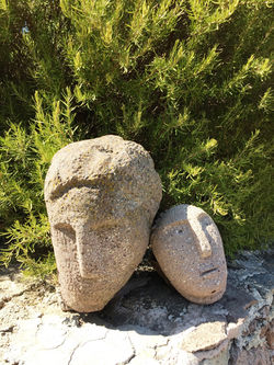 STONE HEAD