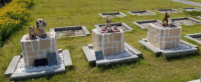 thumbnail_20180626_090957.jpg