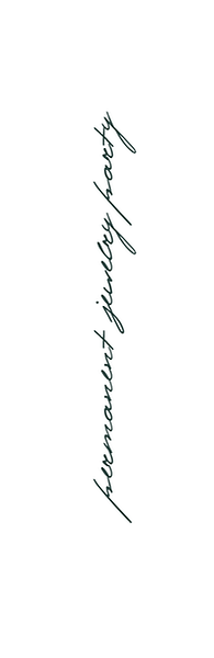 aisom-8.png