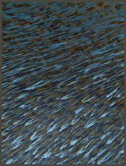 Sperm-Creek-027-copy.jpg