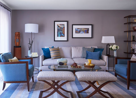 Comfy Contemporary Living Room