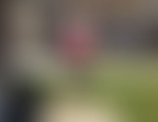 Corre maratón... ¡en el patio de su casa!