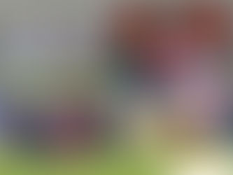 ¡Regresó el fut mexicano!