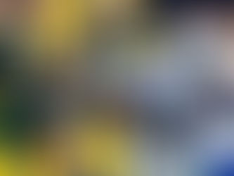 Siguen Vaqueros sin dar golpes de autoridad