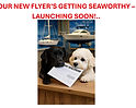 NEW FLYER COMING SOON SEAWORTHY horizontal 2026.jpg