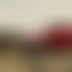 ​The True Off-road King: Wrangler or Gladiator?