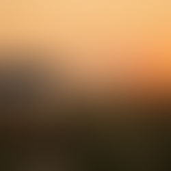 How to Prepare Your Jeep for Summer: The Ultimate Checklist