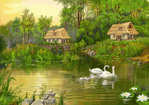 Swans and Nature_2.GIF