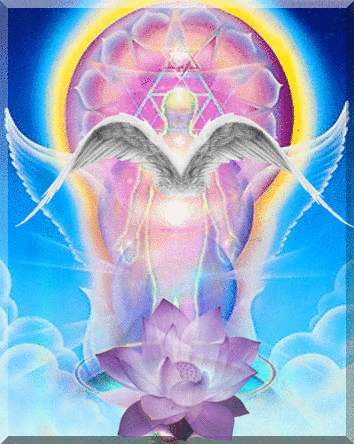 LightBody K3.gif
