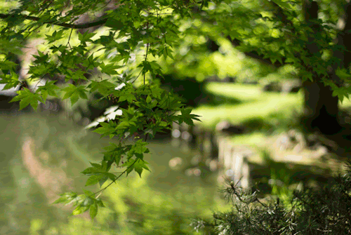 Water Nature Wellbeing Health 92.gif