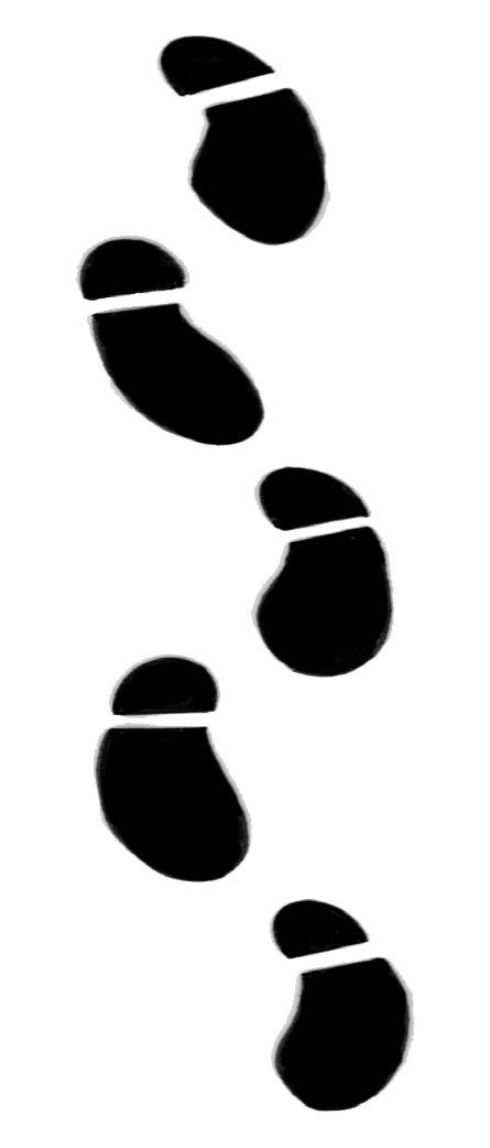 Feet Walking.gif