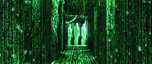 Simulation Program matrix 3.gif