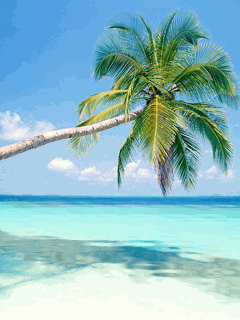 Nature Ocean j4miou.gif