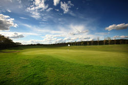 12th green  MId Sussex Golf Club