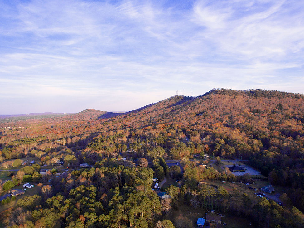 View of Mountain 2020.jpg