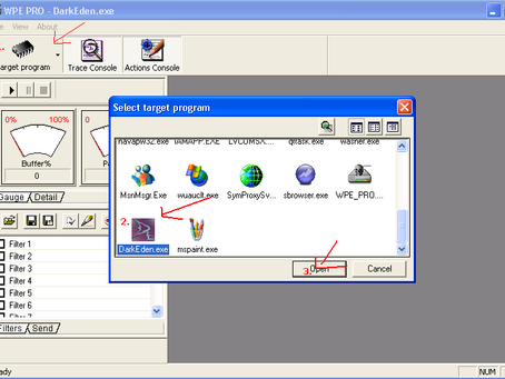 Download Winsock Packet Editor Wpe Pro 0.9 Agolkes Roslav